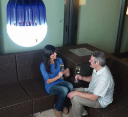 Pest Reject Light Zapper – Anti muggenlamp